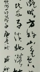 微信图片_20170522152925